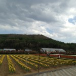 ゴールデンウィーク