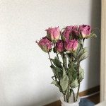 ドライフラワー